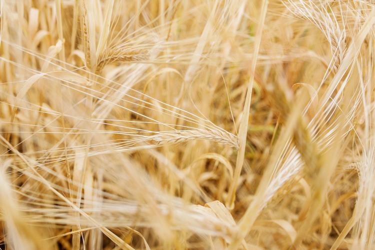 Foto: Emma Sejersen/POLFOTO