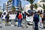 Foto: Bechir Taieb/Ritzau Scanpix
