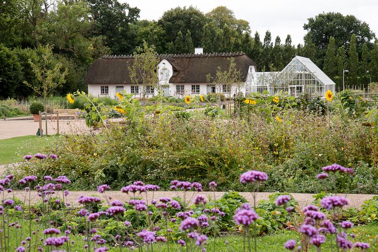 Koekkenhaven