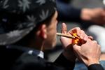 Franskmændene har Europa-rekord i brugen af cannabis - og nu strammer præsident Macron kursen, mens andre europæiske lande har vedtaget eller er ved at ophæve forbud mod en joint.  Foto: Kenzo Tribouillard/Ritzau Scanpix