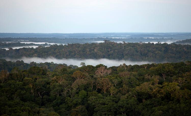 Foto: Reuters/Ritzau Scanpix