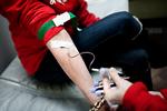    Donorer får tappet blod fra en vene i albuebøjningen, da den er større og ligger dybere end vener på underarmen.  Foto: Miriam Dalsgaard/POLFOTO