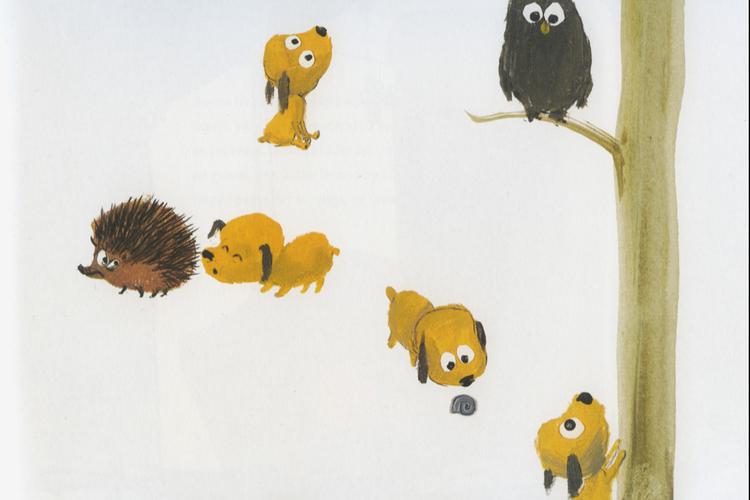 Illustration Charlotte Pardi