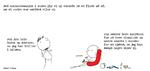 web_maren_2021-05-06