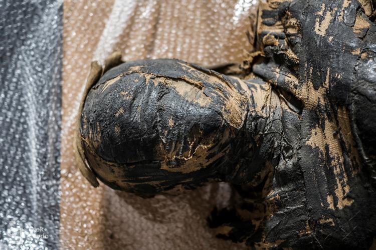 Det er det første kendte fund af en kvindelig mumie med et barn i maven. Foto: Warsaw Mummy Project/Ritzau Scanpix