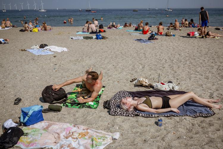 Amager Strandpark, hvor dette billede er taget, får til sommer en lillebror på sydsiden af Valbyparken. Foto: Miriam Dalsgaard/POLFOTO