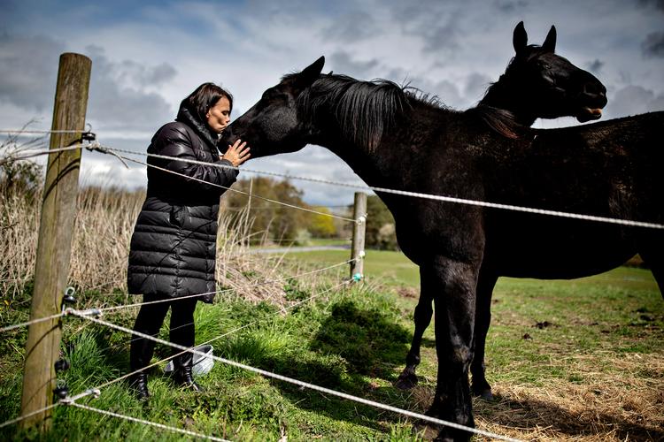 Carina Jørgensen fik foretaget en fedmeoperation i 2019. Hestene går på noget jord, der hører til hendes voksnes datters ejendom. Her finder hun ro i sin nye hverdag, hvor hun hjælper andre med overvægt.  Foto: Martin Lehmann