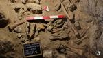 Med fund af ni neandertalere tyder det på, at der var en betydelig population af fortidsfolket nær grotte. Foto: Handout/Ritzau Scanpix