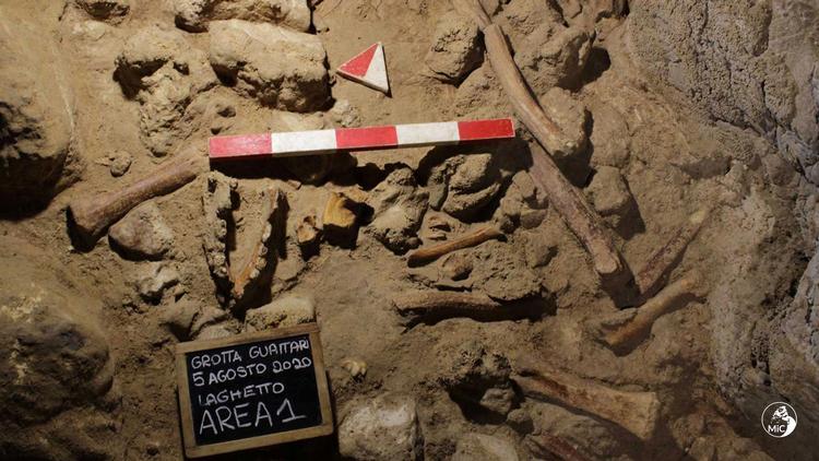 Med fund af ni neandertalere tyder det på, at der var en betydelig population af fortidsfolket nær grotte. Foto: Handout/Ritzau Scanpix