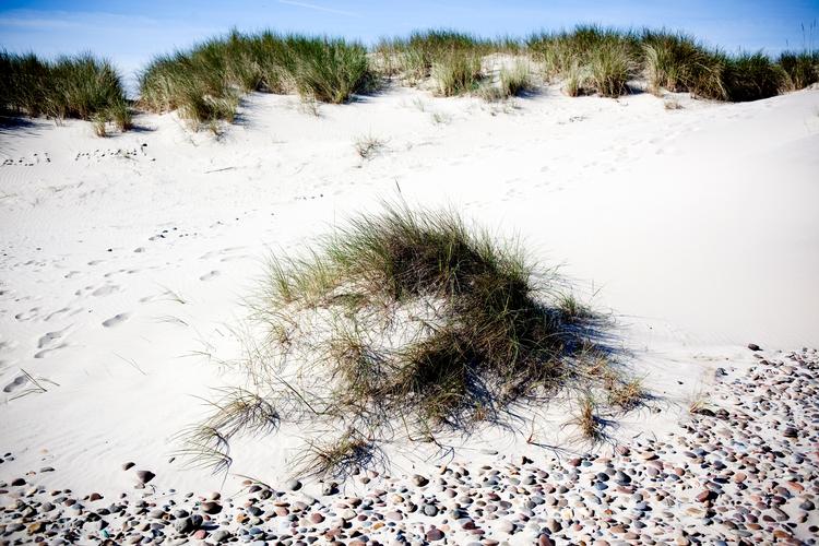 Landsret behøver ifølge anklagemyndighed ikke at tage stilling til to mænds skamfering af Skagen Sønderstrand. Foto: Mathias Christensen/POLFOTO