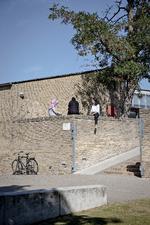 På Tingbjerg Skole forventer man, at have en håndfuld elever fra hver årgang til fysisk nødundervisning nu, hvor skolen må lukke ned. Foto: Valdemar Ren/POLFOTO