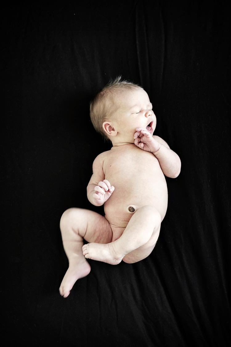 Spædbørn, der har været udsat for parabener i mors mave, viser tegn på nedsat frugtbarhed. Parabener findes i plejeprodukter og fødevarer. Foto: Miriam Dalsgaard/POLFOTO