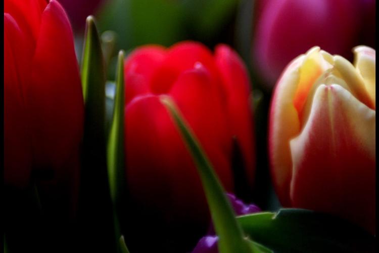 Arkivfoto Thomas Borberg