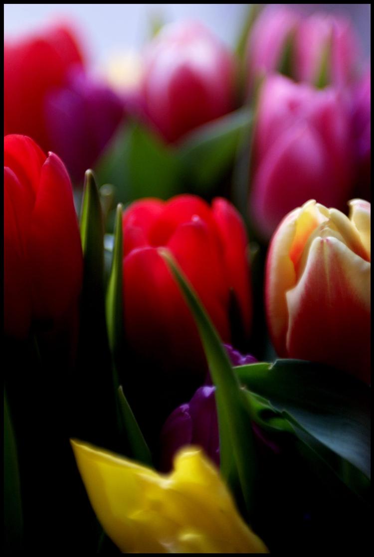 Arkivfoto Thomas Borberg