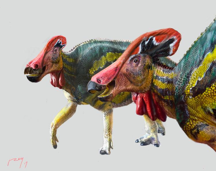Sådan menes dinosauren Tlatolophus galorum at have set ud ifølge mexicanske forskere. Foto: Inah/Ritzau Scanpix