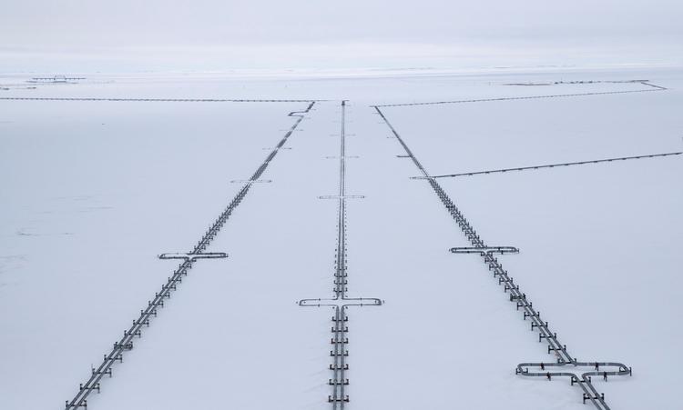 Russisk økonomi bliver stadig mere afhængig af olie- og gasfelterne i Arktis som her på Yamal halvøen i Sibirien. Men samtidig er landet formand for Arktisk Råd, der har fokus på klimaforandringerne.

  Foto: Maxim Shemetov/Ritzau Scanpix
