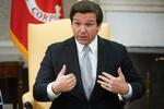 Donald Trump har kaldt Floridas guvernør, Ron DeSantis, for en mulig vicepræsidentkandidat.  Foto: Mandel Ngan/Ritzau Scanpix