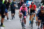 Egan Bernal i den lyserøde førertrøje har vanskeligt ved at følge med sin holdkammerat Daniel Martinez og italieneren Damiano Caruso.
 Foto: Luca Bettini/Ritzau Scanpix