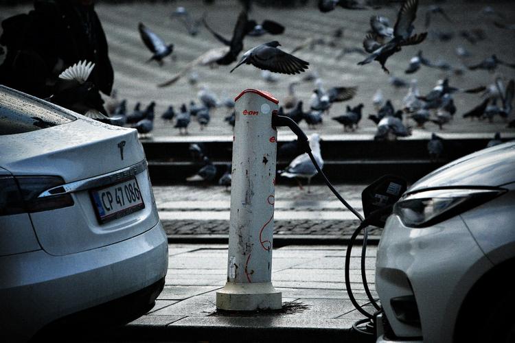 Parkering med opladning skal frem mod 2025 være meget nemmere for delebilister, mener Københavns Kommunes teknik- og miljøforvaltning, som netop har sendt en plan ud for byens delebiler.  Foto: Martin Lehmann