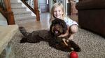 Baxter &amp; Bella står bag podcasten om hvalpetræning, hvor man ud over generelle råd følger deres egen hvalpetræning derhjemme af hunden Boots.  Pr-foto: Baxter & Bella