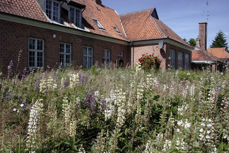 Foto: Lars Hansen/POLFOTO