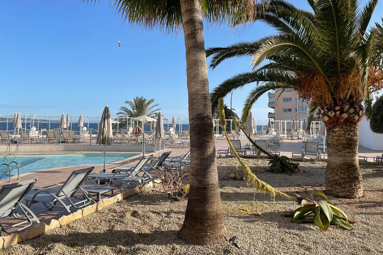 Foto: Palma de Mallorcas gader er stadig halvtomme og venter på sit store turistindryk. Flere restauranter og butikker er stadig lukkede, mens de små souvenirbutikker så småt er ved at åbne igen. 