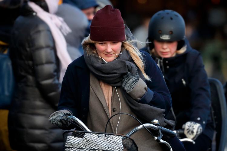 Pladsen på de københavnske cykelstier er ofte for trang. På Torvegade kører over dobbelt så mange som cykelstierne er beregnet til. Arkivfoto. Foto: Jens Dresling/POLFOTO