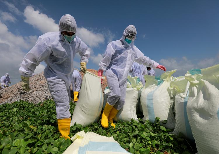 Foto: Dinuka Liyanawatte/Ritzau Scanpix