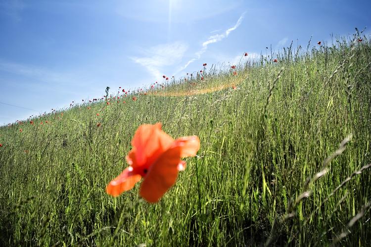 Arkivfoto Søren Østerlund