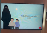 Det var denne grafik, som DR bragte onsdag aften i TV-Avisen.  