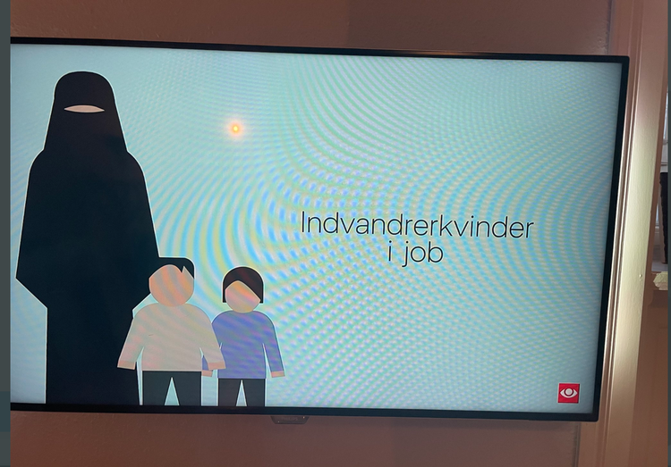 Det var denne grafik, som DR bragte onsdag aften i TV-Avisen.  