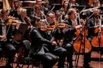 Wienerfilharmonikerne er ikke længere et orkester kun for mænd, som de i mange år var. Men de er stadig et selvsikkert toporkester, der ikke så gerne vil forstyrres af dirigenten. Foto: Finn Frandsen