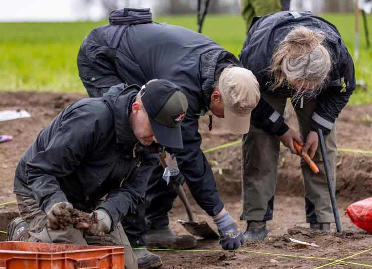 Sidse Stephensen (th.) og to andre amatørarkæologer graver det såkaldte inderfelt ud, hvor krukken med penge blev gravet ned i 1300-tallet.  Foto: Allan Faurskov