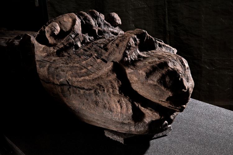 Foto: Jacob Ehrbahn/POLFOTO