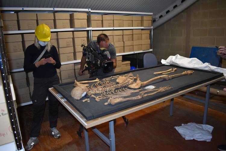 Forskere har som noget nyt kunnet koble to skeletter fra vikingetiden og bevise deres slægtsskab til hinanden. Skeletterne kan ses i en ny udstilling på Nationalmuseet.  Foto: Thames Valley Archaelogical Services/Free