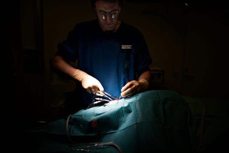 Flere melder sig som organdonor efter opfordring via den nye sundhedskort-app. Arkivfoto.   Foto: Marcus Trappaud Bjørn/POLFOTO