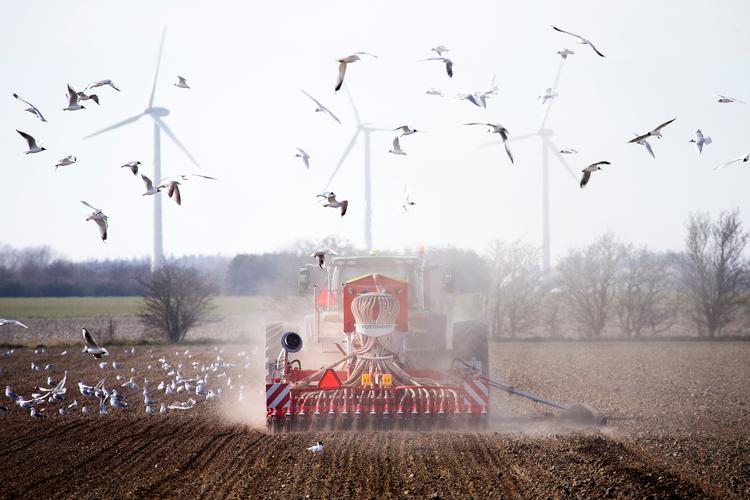 Bæredygtigt Landbrug kalder Stiig Markagers udsagn om landbrugets kvælstofudledning for 'usandt' og 'ærekrænkende'. Foto: Finn Frandsen/POLFOTO