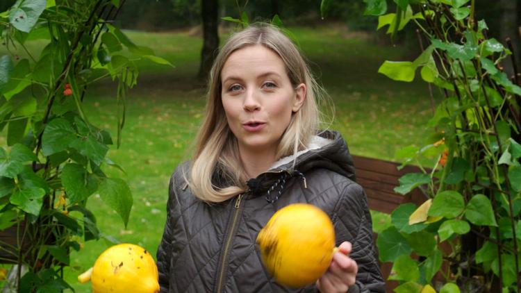 Når man skal bage veganske muffins, må der ikke bruges æg. Heldigvis har madnørd Johanne Mosgaard en løsning. Pr-foto DR/Johnny Bondo Nielsen