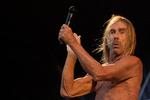 Iggy Pop spillede i 2017 på festivalen Haven på Refshaleøen i København.  Foto: Thomas Borberg/POLFOTO