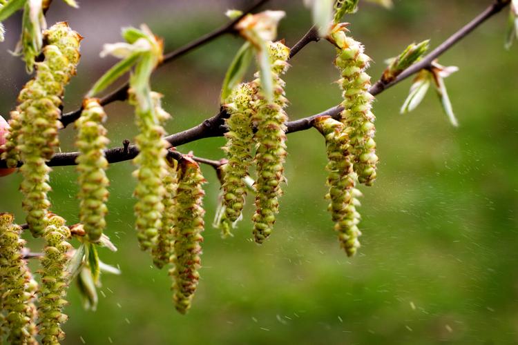 Foto: Søren Schnoor/POLFOTO