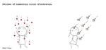 web_maren_2021-06-30