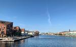 Københavnere trodser risikoen for at få bøder eller være i vejen for bådtrafikken ved at nyde en dukkert ved Krøyers Plads. Foto: Søren Astrup