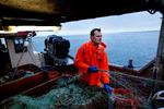 Fiskeri er blot en af de mange aktiviteter, der både udnytter og påvirker havet. Her kystfisker Søren Jacobsen fra Helsingør på torskefiskeri.  Foto: Jacob Ehrbahn/POLFOTO