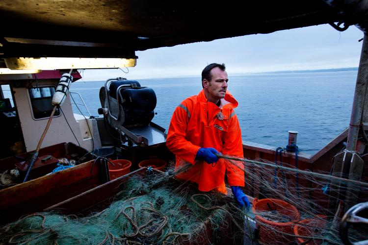 Fiskeri er blot en af de mange aktiviteter, der både udnytter og påvirker havet. Her kystfisker Søren Jacobsen fra Helsingør på torskefiskeri.  Foto: Jacob Ehrbahn/POLFOTO