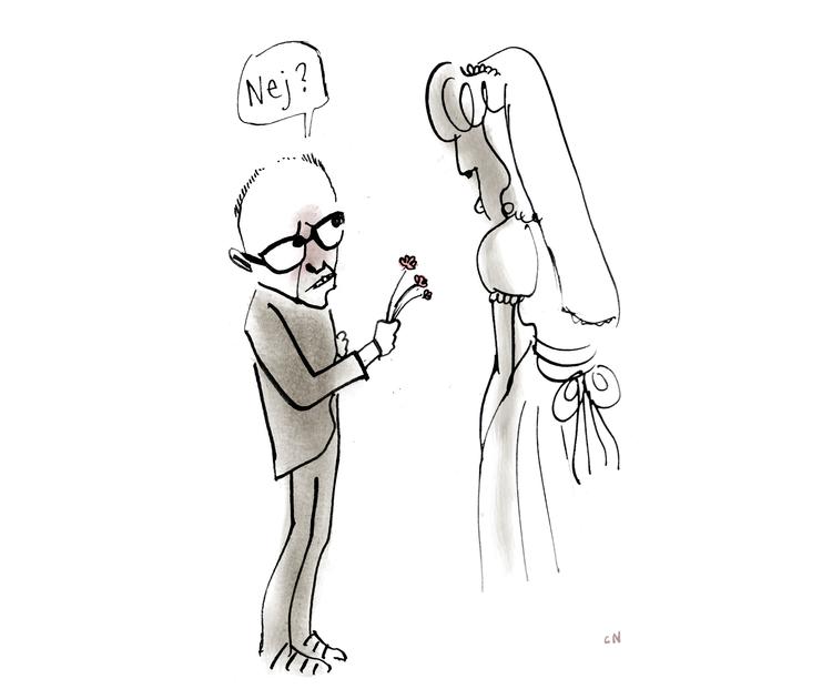 Foto: Claus Nørregaard/POLITIKEN