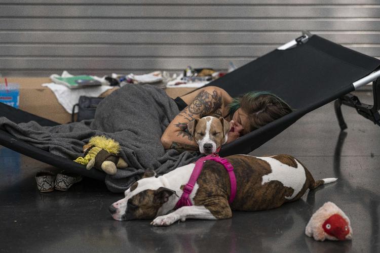 PORTLAND, OR - JUNE 27: Austun Wilde rests with her two dogs, Bird Is The Wurd and Fenrir at a cooling center in the Oregon Convention Center on June 27, 2021 in Portland, Oregon. Record breaking temperatures lingered over the Northwest during a historic heatwave this weekend. Nathan Howard/Getty Images/AFP == FOR NEWSPAPERS, INTERNET, TELCOS &amp; TELEVISION USE ONLY == Foto: Nathan Howard/Ritzau Scanpix