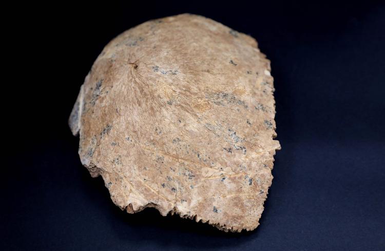 Foto: Gil Cohen-magen/Ritzau Scanpix