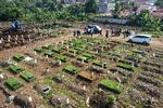 Kirkegården Srengseng Sawah cemetery i Jakarta har begravet mange ofre for coronavirus. Fredag blev der registreret 25.830 nye smittetilfælde og 539 coronarelaterede dødsfald, hvilket er det hidtil højeste daglige dødstal under pandemien. Foto: Bay Ismoyo/Ritzau Scanpix