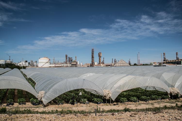 Foto: Stefania Prandi/Danwatch