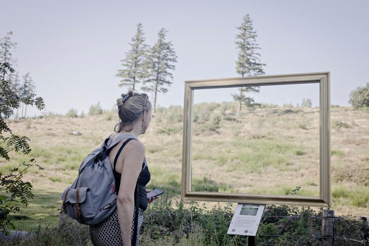 Svanninge Bakker, hvor fynske malere hentede inspiration, er med i 'Turen går til Danmarks smukkeste vandreruter', som topper hitlisten over mest solgte rejsebøger. Bogen indtager faktisk de to første pladser i to forskellige versioner - en lille praktisk og en stor lækker udgave.    Foto: Marius Renner/POLFOTO
